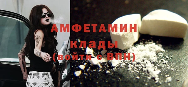 индика Кинешма