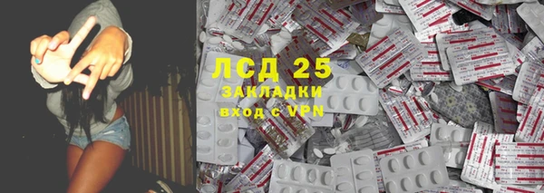индика Кинешма