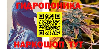 сатива Конаково