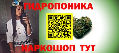 spice Коммунар