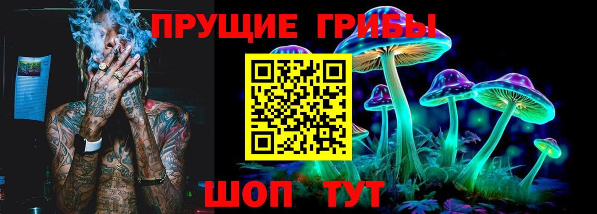 Псилоцибиновые грибы MAGIC MUSHROOMS Кулебаки
